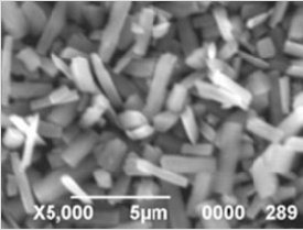 PET背板，創(chuàng)新還是“創(chuàng)心”？