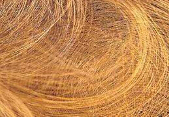 1541758754524298.jpg QQ截圖20181109181842.jpg